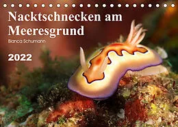 Kalender Nacktschnecken am Meeresgrund (Tischkalender 2022 DIN A5 quer) von Bianca Schumann