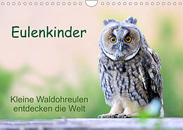 Kalender Eulenkinder - Kleine Waldohreulen entdecken die Welt (Wandkalender 2022 DIN A4 quer) von Carolin Müller