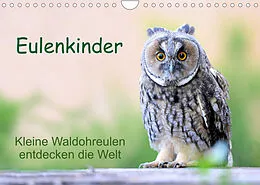 Kalender Eulenkinder - Kleine Waldohreulen entdecken die Welt (Wandkalender 2022 DIN A4 quer) von Carolin Müller