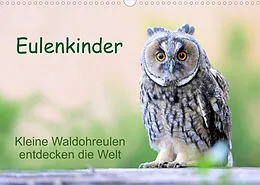 Kalender Eulenkinder - Kleine Waldohreulen entdecken die Welt (Wandkalender 2022 DIN A3 quer) von Carolin Müller