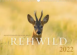 Kalender Rehwild 2022 (Wandkalender 2022 DIN A3 quer) von Michael Breuer