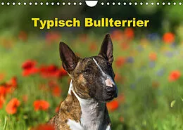 Kalender Typisch Bullterrier (Wandkalender 2022 DIN A4 quer) von Yvonne Janetzek