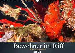 Kalender Bewohner im Riff (Wandkalender 2022 DIN A3 quer) von Bianca Schumann
