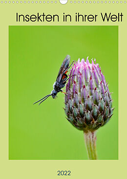 Kalender Insekten in ihrer Welt (Wandkalender 2022 DIN A3 hoch) von C. Stenner
