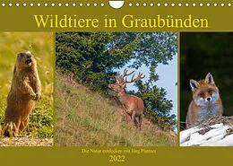 Kalender Wildtiere in Graubünden. Die Natur entdecken mit Jürg PlattnerCH-Version (Wandkalender 2022 DIN A4 quer) von Jürg Plattner