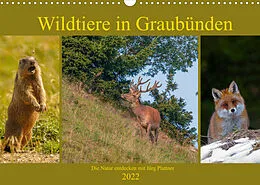 Kalender Wildtiere in Graubünden. Die Natur entdecken mit Jürg PlattnerCH-Version (Wandkalender 2022 DIN A3 quer) von Jürg Plattner