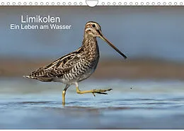 Kalender Limikolen - Ein Leben am Wasser (Wandkalender 2022 DIN A4 quer) von Martin Wenner