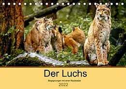 Kalender Der Luchs - Begegnungen mit einer Raubkatze (Tischkalender 2022 DIN A5 quer) von Ralf Metzger