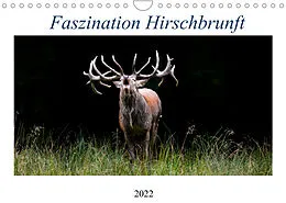Kalender Faszination Hirschbrunft (Wandkalender 2022 DIN A4 quer) von Daniela Fett
