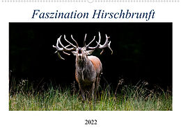 Kalender Faszination Hirschbrunft (Wandkalender 2022 DIN A2 quer) von Daniela Fett