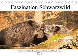 Kalender Faszination Schwarzwild (Tischkalender 2022 DIN A5 quer) von Daniela Fett