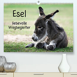 Kalender Esel - liebevolle Weggefährten (Premium, hochwertiger DIN A2 Wandkalender 2022, Kunstdruck in Hochglanz) von Simona Fröhlich
