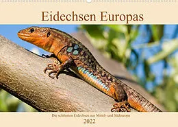 Kalender Eidechsen Europas (Wandkalender immerwährend DIN A2 quer) von Wolfgang Simlinger