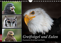 Kalender Greifvögel und Eulen (Wandkalender 2022 DIN A4 quer) von Jürgen Trimbach