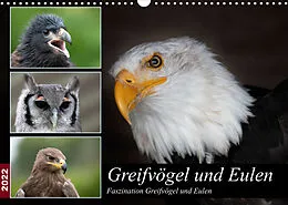 Kalender Greifvögel und Eulen (Wandkalender 2022 DIN A3 quer) von Jürgen Trimbach