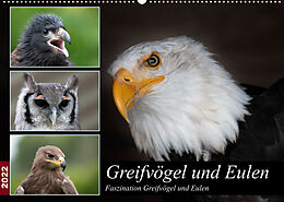 Kalender Greifvögel und Eulen (Wandkalender 2022 DIN A2 quer) von Jürgen Trimbach