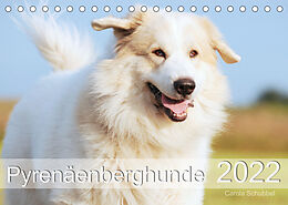 Kalender Pyrenäenberghunde (Tischkalender 2022 DIN A5 quer) von Carola Schubbel