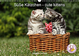 Kalender Süße Kätzchen - cute kittens (Wandkalender 2022 DIN A3 quer) von Jeanette Hutfluss