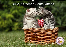 Kalender Süße Kätzchen - cute kittens (Wandkalender 2022 DIN A2 quer) von Jeanette Hutfluss