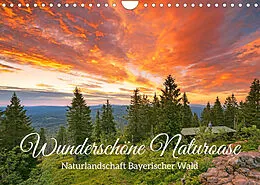 Kalender Naturlandschaft Bayerischer Wald: Wunderschöne Naturoase (Wandkalender 2022 DIN A4 quer) von CALVENDO