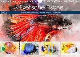 Kalender Exotische Fische - Die schönsten Fische der Welt in Aquarell (Wandkalender 2022 DIN A4 quer) von Anja Frost