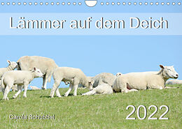 Kalender Lämmer auf dem Deich (Wandkalender 2022 DIN A4 quer) von Carola Schubbel