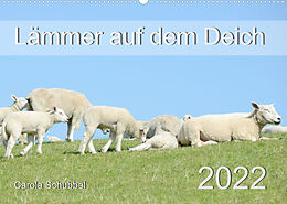 Kalender Lämmer auf dem Deich (Wandkalender 2022 DIN A2 quer) von Carola Schubbel
