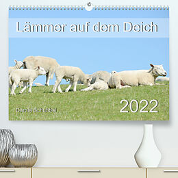 Kalender Lämmer auf dem Deich (Premium, hochwertiger DIN A2 Wandkalender 2022, Kunstdruck in Hochglanz) von Carola Schubbel
