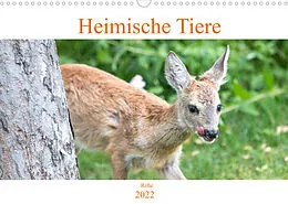 Kalender Heimische Tiere - Rehe (Wandkalender 2022 DIN A3 quer) von pixs:sell