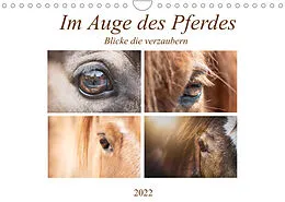Kalender Im Auge des Pferdes (Wandkalender 2022 DIN A4 quer) von Petra Fischer