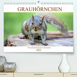 Kalender Grauhörnchen-Die nordamerikanischen Eichhörnchen (Premium, hochwertiger DIN A2 Wandkalender 2022, Kunstdruck in Hochglanz) von pixs:sell@fotolia, pixs:sell@Adobe Stock