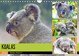 Kalender Koalas. Teddy-Alarm! (Wandkalender 2022 DIN A4 quer) von Rose Hurley