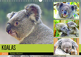 Kalender Koalas. Teddy-Alarm! (Wandkalender 2022 DIN A3 quer) von Rose Hurley