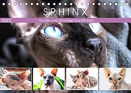 Kalender Sphinx. Grazile und anmutige Nacktkatzen (Tischkalender 2022 DIN A5 quer) von Rose Hurley