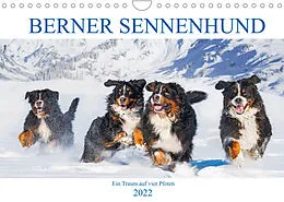 Kalender Berner Sennenhund - Ein Traum auf vier Pfoten (Wandkalender 2022 DIN A4 quer) von Sigrid Starick