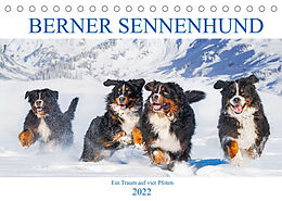 Kalender Berner Sennenhund - Ein Traum auf vier Pfoten (Tischkalender 2022 DIN A5 quer) von Sigrid Starick