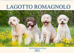 Kalender Lagotto Romagnolo - Der Trüffelhund aus Italien (Wandkalender 2022 DIN A2 quer) von Sigrid Starick