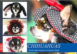 Kalender Chihuahuas. Zuckersüße Hunde im lustigen Outfit (Wandkalender 2022 DIN A2 quer) von Rose Hurley
