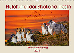 Kalender Hütehund der Shetland Inseln - Shetland Sheepdog (Wandkalender 2022 DIN A3 quer) von Sigrid Starick