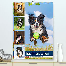 Kalender Traumhaft schön - Der Berner Sennenhund (Premium, hochwertiger DIN A2 Wandkalender 2022, Kunstdruck in Hochglanz) von Sigrid Starick