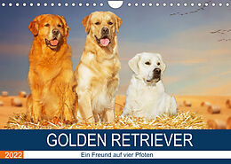 Kalender Golden Retriever - Ein Freund auf vier Pfoten (Wandkalender 2022 DIN A4 quer) von Sigrid Starick