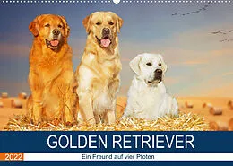Kalender Golden Retriever - Ein Freund auf vier Pfoten (Wandkalender 2022 DIN A2 quer) von Sigrid Starick