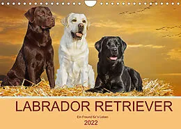 Kalender Labrador Retriever - Ein Freund für´s Leben (Wandkalender 2022 DIN A4 quer) von Sigrid Starick
