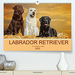 Kalender Labrador Retriever - Ein Freund für´s Leben (Premium, hochwertiger DIN A2 Wandkalender 2022, Kunstdruck in Hochglanz) von Sigrid Starick