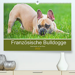 Kalender Französische Bulldogge - Kleine Helden auf vier Pfoten (Premium, hochwertiger DIN A2 Wandkalender 2022, Kunstdruck in Hochglanz) von Sigrid Starick