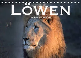 Kalender Löwen. Die Könige Afrikas (Tischkalender 2022 DIN A5 quer) von Robert Styppaa