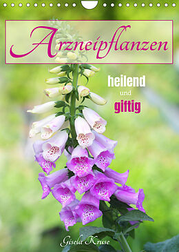 Kalender Arzneipflanzen - heilend und giftig (Wandkalender 2022 DIN A4 hoch) von Gisela Kruse