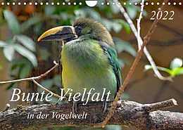Kalender Bunte Vielfalt in der Vogelwelt (Wandkalender 2022 DIN A4 quer) von Claudia Kleemann