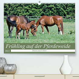Kalender Frühling auf der Pferdeweide (Premium, hochwertiger DIN A2 Wandkalender 2022, Kunstdruck in Hochglanz) von Claudia Kleemann
