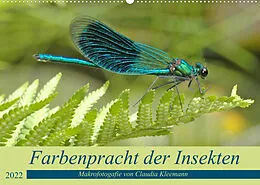 Kalender Farbenpracht der Insekten (Wandkalender 2022 DIN A2 quer) von Claudia Kleemann